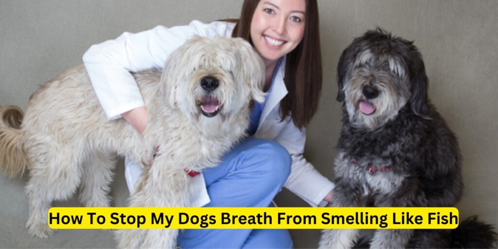 How To Stop My Dogs Breath From Smelling Like Fish