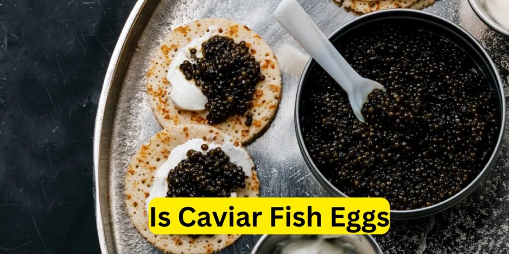 Is Caviar Fish Eggs