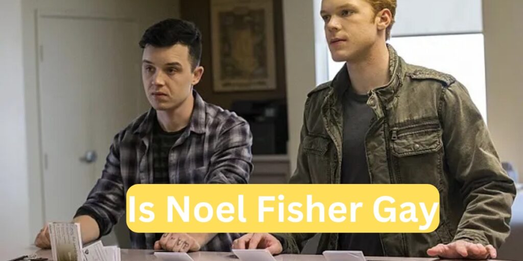 Is Noel Fisher Gay