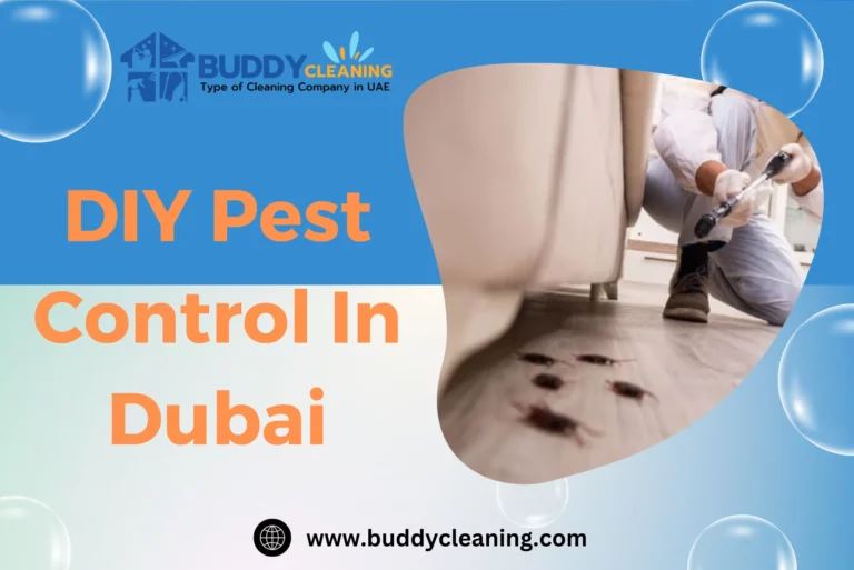 DIY Pest Control in Dubai